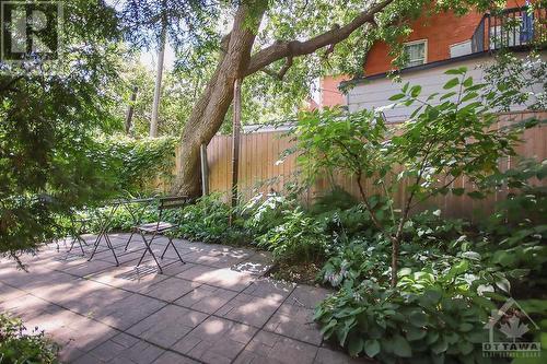 Private fenced Backyard with patio - 124 Stewart Street, Ottawa, ON - Outdoor