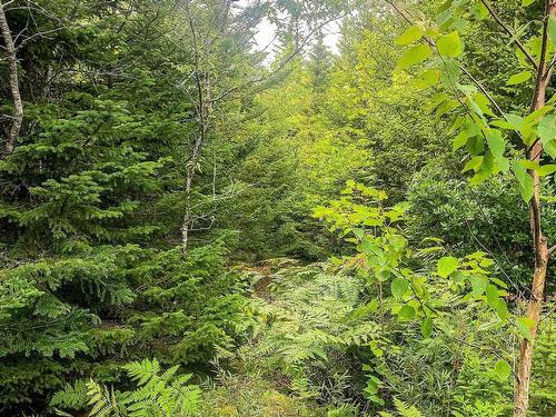 Lot Bonnie Road, Meteghan, NS 