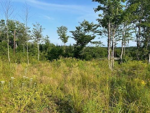 Lot 5 Highland Drive, Ardoise, NS 