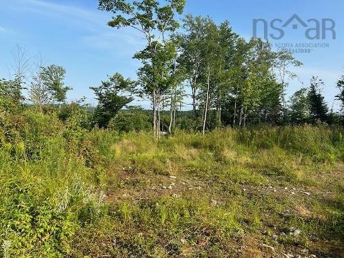 Lot 5 Highland Drive, Ardoise, NS 