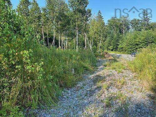 Lot 5 Highland Drive, Ardoise, NS 