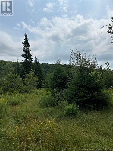 178 Base Road, Willow Grove, NB - Outdoor With View