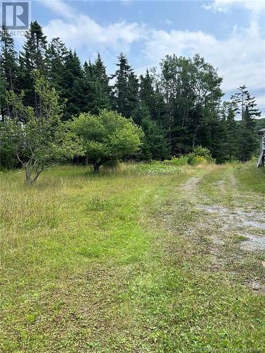 178 Base Road, Willow Grove, NB - Outdoor