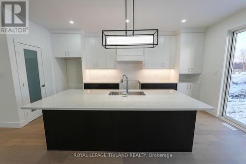 3915 Big Leaf Trail, London, ON - Indoor Photo Showing Kitchen With Double Sink With Upgraded Kitchen