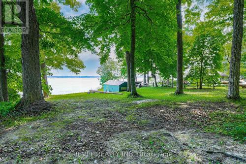 23 Sugar Bush Trail, Kawartha Lakes (Little Britain), ON 