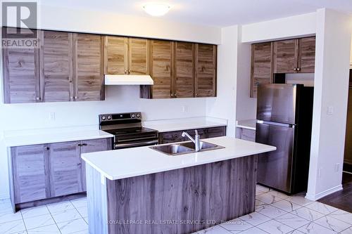 73 Holder Drive, Brantford, ON - Indoor Photo Showing Kitchen With Double Sink