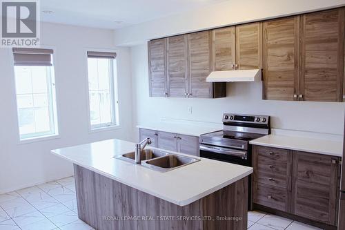 73 Holder Drive, Brantford, ON - Indoor Photo Showing Kitchen With Double Sink