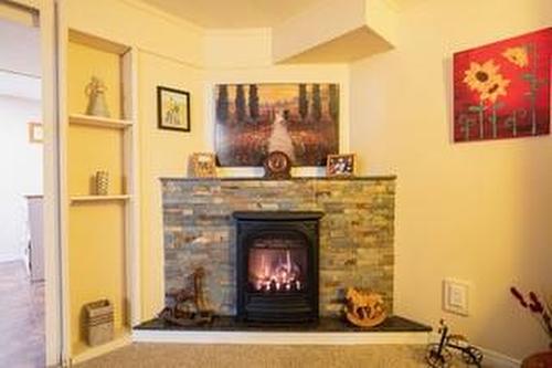 131 Meadowlark Drive, Hamilton, ON - Indoor With Fireplace