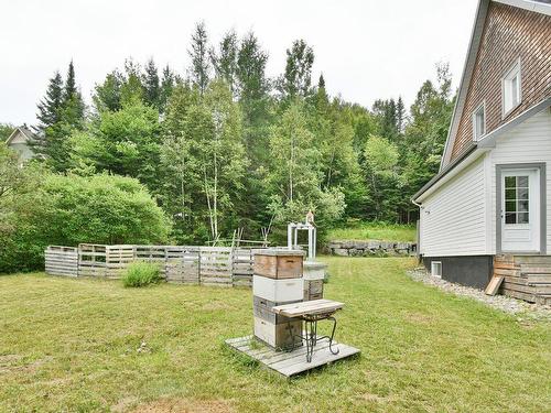 Backyard - 250 Ch. Du Lac-Des-Sables, Sainte-Agathe-Des-Monts, QC - Outdoor