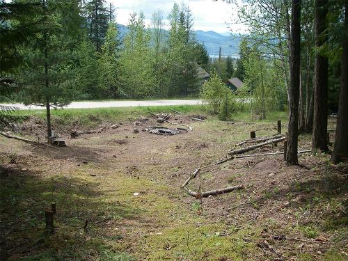 71 Birch Close, Anglemont, BC - Outdoor With View