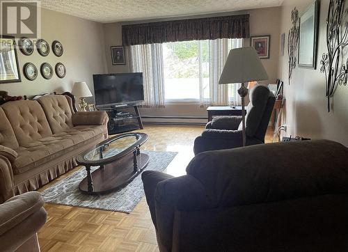 22 Main Road, Embree, NL - Indoor Photo Showing Living Room