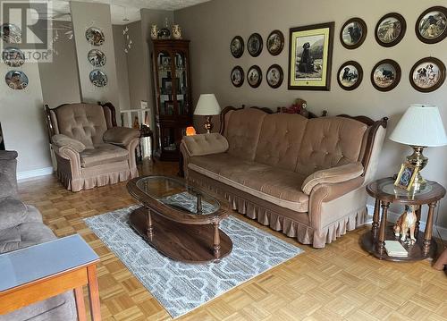 22 Main Road, Embree, NL - Indoor Photo Showing Living Room