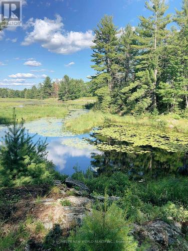 2249 The Ridge Road, Marmora And Lake, ON - Outdoor With View