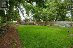 LARGE YARD - 