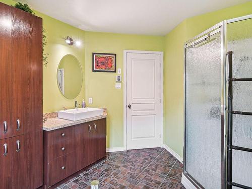 Bathroom - 36  - 38 Rue Des Grands-Ducs, Lavaltrie, QC - Indoor Photo Showing Bathroom