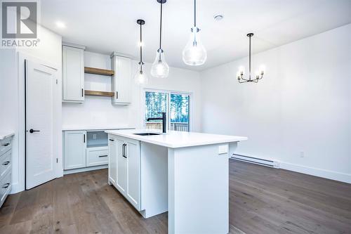 18 Reddley Place, Conception Bay South, NL - Indoor Photo Showing Kitchen With Upgraded Kitchen