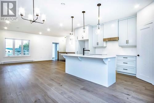 18 Reddley Place, Conception Bay South, NL - Indoor Photo Showing Kitchen