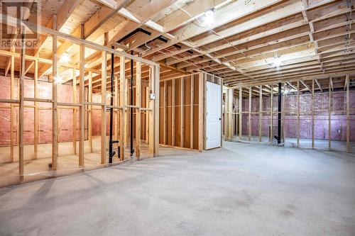 18 Reddley Place, Conception Bay South, NL - Indoor Photo Showing Basement