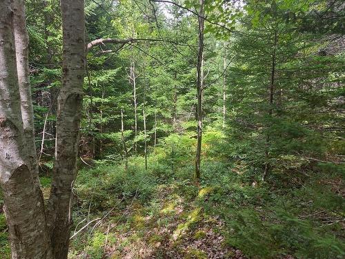 Lot 2B Wall Street, Cape George Estates, NS 