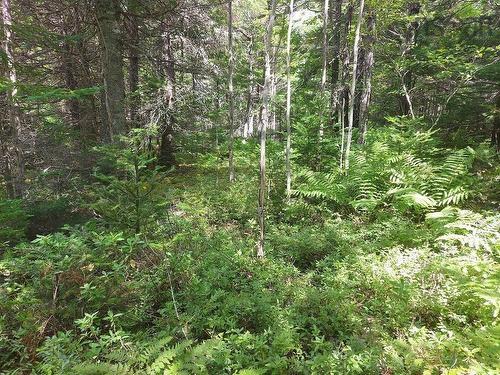 Lot 2B Wall Street, Cape George Estates, NS 