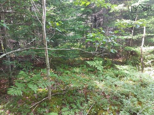 Lot 2B Wall Street, Cape George Estates, NS 