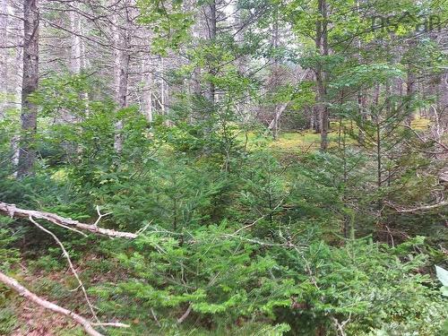 Lot 2B Wall Street, Cape George Estates, NS 