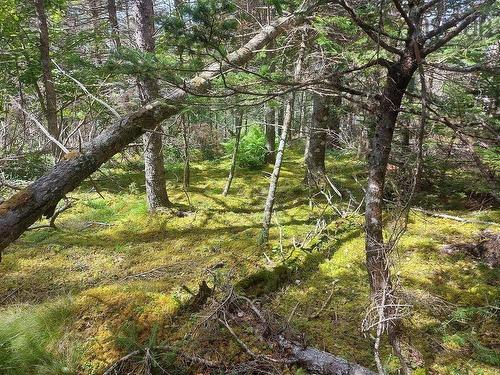 Lot 2B Wall Street, Cape George Estates, NS 