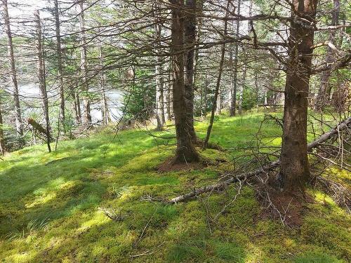 Lot 2B Wall Street, Cape George Estates, NS 