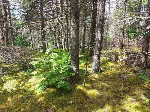 Lot 2B Wall Street, Cape George Estates, NS 