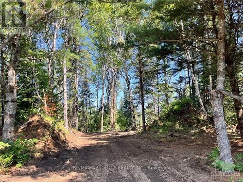 4634  1 Matawatchan Road, Greater Madawaska, ON 