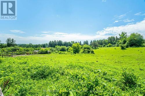 15670 Keele Street, King, ON - Outdoor With View