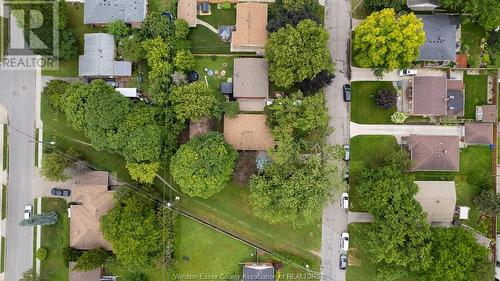 916 Laporte Avenue, Windsor, ON - Outdoor With View