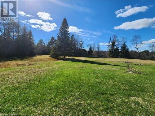 145 Mccarthy Street, Trout Creek, ON - Outdoor With View