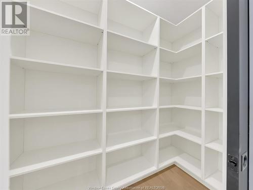 4532 Valerio Crescent, Lasalle, ON - Indoor With Storage