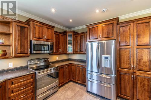 29 Gold Medal Drive, St. John'S, NL - Indoor Photo Showing Kitchen With Stainless Steel Kitchen