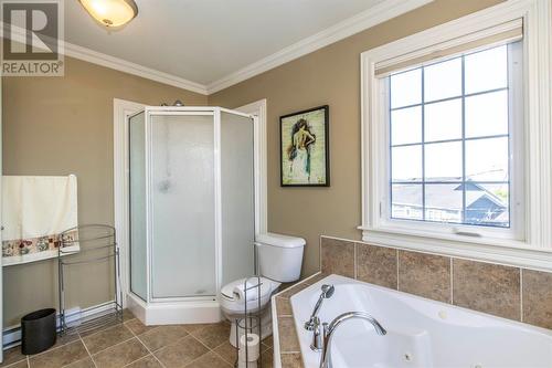 29 Gold Medal Drive, St. John'S, NL - Indoor Photo Showing Bathroom