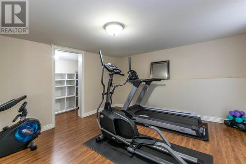 29 Gold Medal Drive, St. John'S, NL - Indoor Photo Showing Gym Room