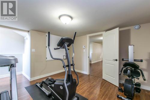 29 Gold Medal Drive, St. John'S, NL - Indoor Photo Showing Gym Room