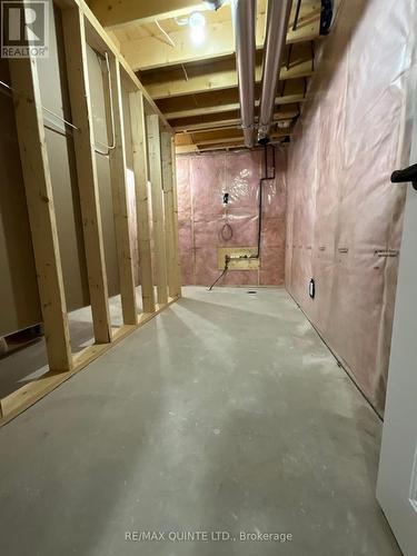 119 Aldersgate Drive, Belleville, ON - Indoor Photo Showing Basement