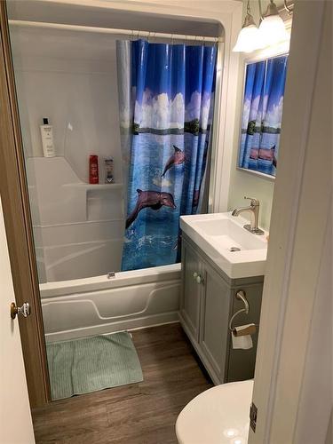 1739 Lorne Avenue, Brandon, MB - Indoor Photo Showing Bathroom