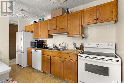 321 4045 Rae Street, Regina, SK - Indoor Photo Showing Kitchen With Double Sink