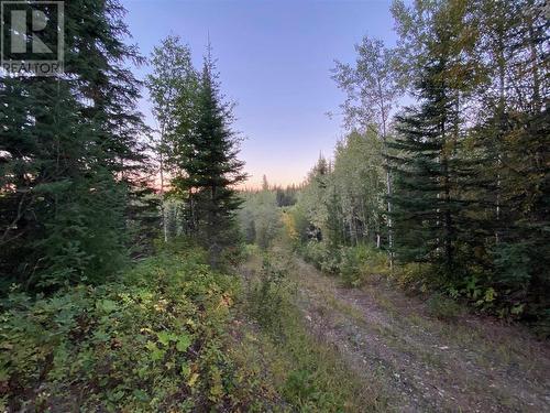 N 1/2 Of Dl7871 Takla Forest Road, Prince George, BC 