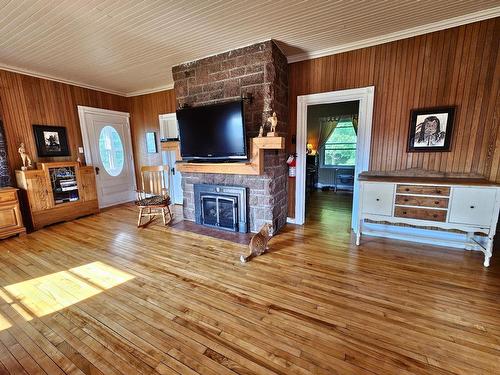 Living room - 101 Ch. Welden, Grenville-Sur-La-Rouge, QC - Indoor Photo Showing Living Room With Fireplace