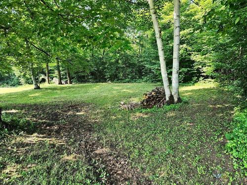 Backyard - 101 Ch. Welden, Grenville-Sur-La-Rouge, QC - Outdoor