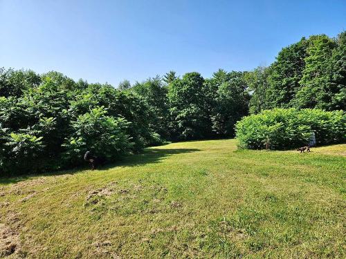 Backyard - 101 Ch. Welden, Grenville-Sur-La-Rouge, QC - Outdoor