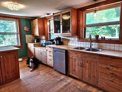 Kitchen - 101 Ch. Welden, Grenville-Sur-La-Rouge, QC - Indoor Photo Showing Kitchen With Double Sink