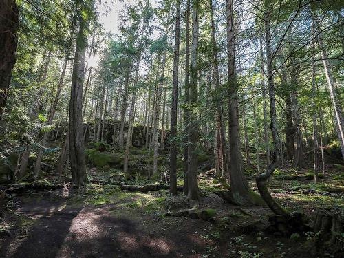 651 Gorge Harbour, Cortes Island, BC 