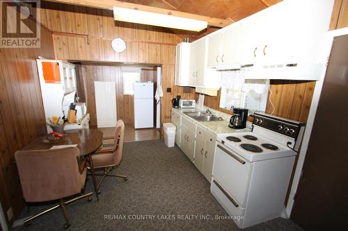 194 Mcguire Beach Road, Kawartha Lakes, ON - Indoor Photo Showing Kitchen With Double Sink