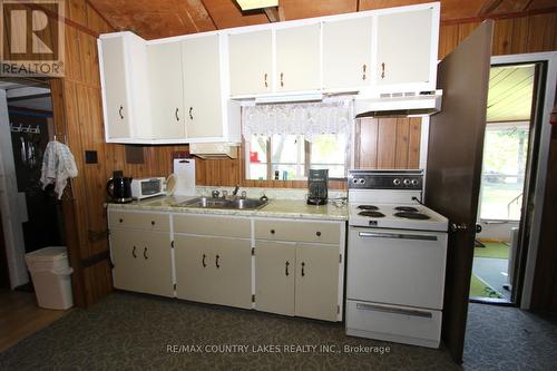 194 Mcguire Beach Road, Kawartha Lakes, ON - Indoor Photo Showing Kitchen With Double Sink