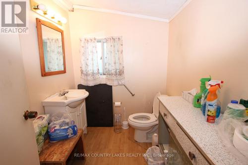 194 Mcguire Beach Road, Kawartha Lakes, ON - Indoor Photo Showing Bathroom